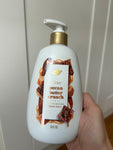 Pecan Butter Crunch Dove Hand Soap