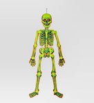 Natalie Skeleton